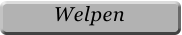 Welpen