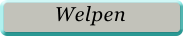 Welpen